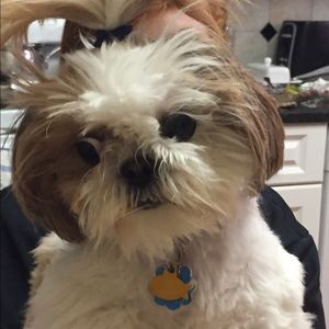 Meet your Posher, Scot